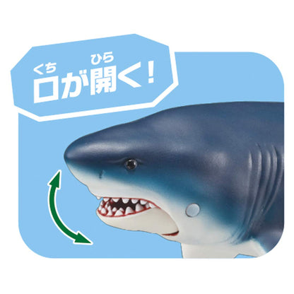 TAKARA TOMY Al-11 Animal Adventure Megalodon Floating Version Figure- Japan Figure Store - #1 Bring To You The Best Japanese Goods