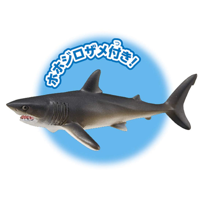 TAKARA TOMY Al-11 Animal Adventure Megalodon Floating Version Figure- Japan Figure Store - #1 Bring To You The Best Japanese Goods
