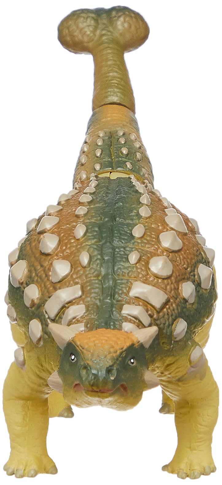 Takara Tomy Ania Al-14 Ankylosaurus Dinosaur Toy for Kids Educational Play- Japan Figure Store - #1 Bring To You The Best Japanese Goods