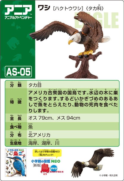 TAKARA TOMY As-05 Animal Adventure Eagle Bald Eagle Figure- Japan Figure Store - #1 Bring To You The Best Japanese Goods