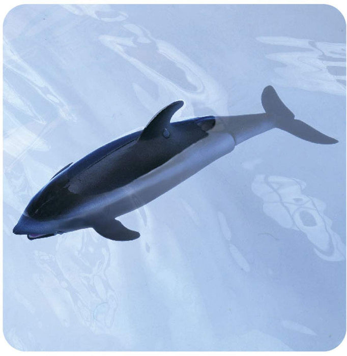 TAKARA TOMY Ania As-19 Animal Adventure White-Sided Dolphin Floating Version- Japan Figure Store - #1 Bring To You The Best Japanese Goods
