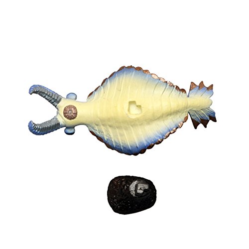 Anomalocaris Mini Model FP-201 - Favorite- Japan Figure Store - #1 Bring To You The Best Japanese Goods
