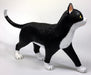 Aoshima Bunka Kyozai Skynet 3D Puzzle 4D Vision Animal Anatomy No.29 Cat Anatomy Model Black/White- Japan Figure Store - #1 Bring To You The Best Japanese Goods