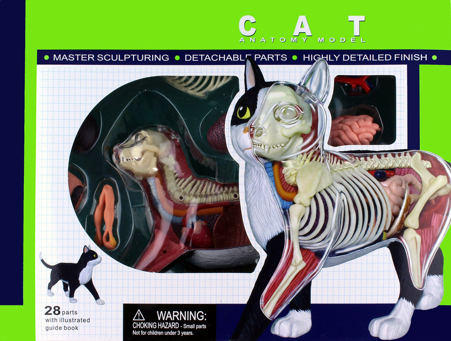Aoshima Bunka Kyozai Skynet 3D Puzzle 4D Vision Animal Anatomy No.29 Cat Anatomy Model Black/White- Japan Figure Store - #1 Bring To You The Best Japanese Goods