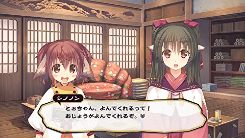Aquaplus Utawarerumono: Itsuwari No Kamen Playstation 4 Ps4 - New Japan Figure 4996802150998 5
