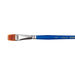Athena Lovia 7800 Series 1/2 Inch Comb Brush- Japan Figure Store - #1 Bring To You The Best Japanese Goods