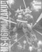 Bandai Mg 1/100 Ms-06r-1a Zaku Ii Shin Matsunaga Custom Type Model Kit F/s - Japan Figure