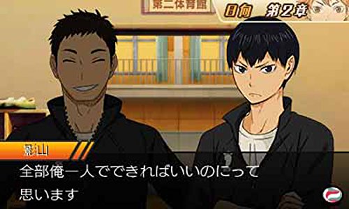 Bandai Namco Haikyu!! Tsunage! Itadaki No Keshiki!! 3Ds Used