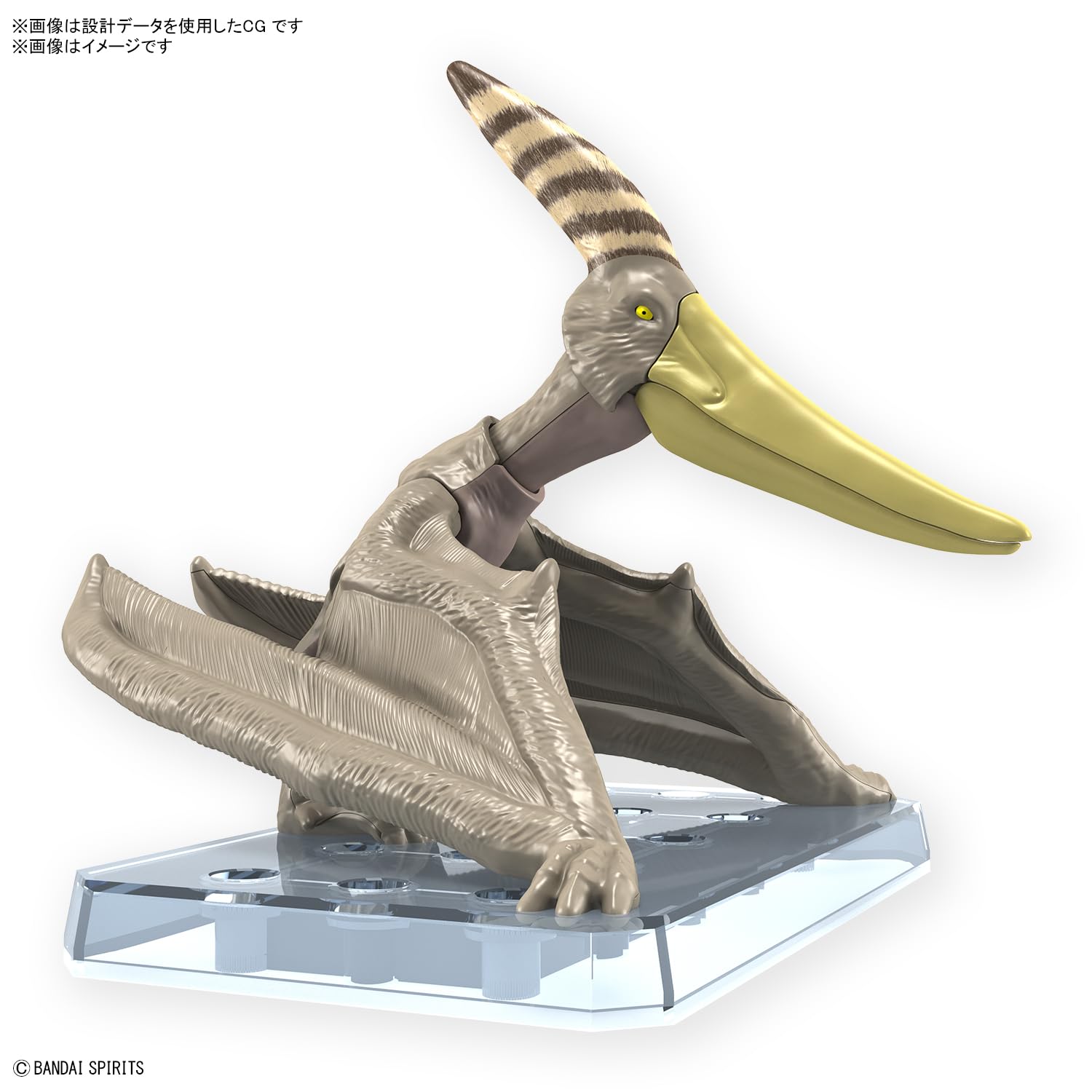 Bandai Spirits Color-Coded Planosaurus Pteranodon Plastic Model Kit- Japan Figure Store - #1 Bring To You The Best Japanese Goods