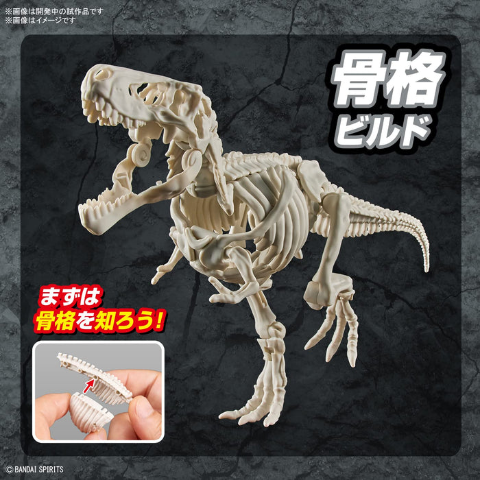 Bandai Spirits Planosaurus T-Rex Model- Japan Figure Store - #1 Bring To You The Best Japanese Goods