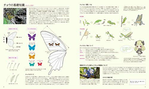 Beauty Butterfly Picture Book Art Book- Japan Figure Store - #1 Bring To You The Best Japanese Goods