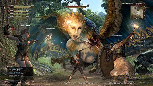 Capcom Dragons Dogma Online Limited Edition Ps4 - New Japan Figure 4976219064804 9