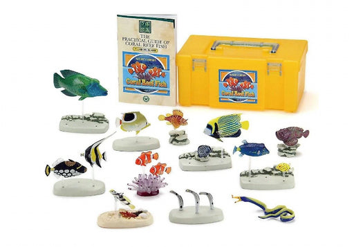Colorata Real Figure Box Set 15 Pcs Coral Reef Fish PVC from Japan Figure- Japan Figure Store - #1 Bring To You The Best Japanese Goods