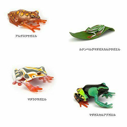 Colorata Real Figure Box The Plactical Guide Of Frogs- Japan Figure Store - #1 Bring To You The Best Japanese Goods