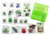 Colorata Real Figure Box The Plactical Guide Of Frogs- Japan Figure Store - #1 Bring To You The Best Japanese Goods