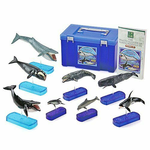 Colorata Real Figure Marine Mammals Deluxe Box- Japan Figure Store - #1 Bring To You The Best Japanese Goods