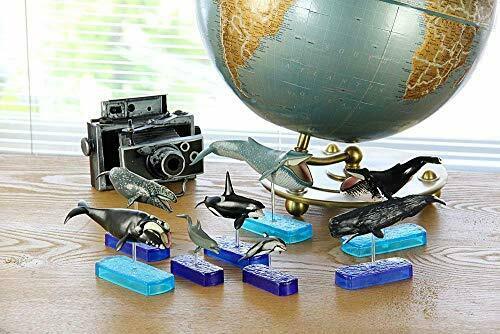 Colorata Real Figure Marine Mammals Deluxe Box- Japan Figure Store - #1 Bring To You The Best Japanese Goods