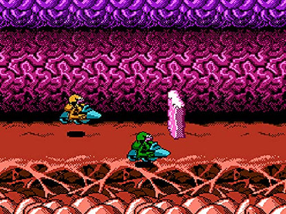 Columbus Circle Battletoads For Famicom Fc - Pre Order Japan Figure 4582286323593 5