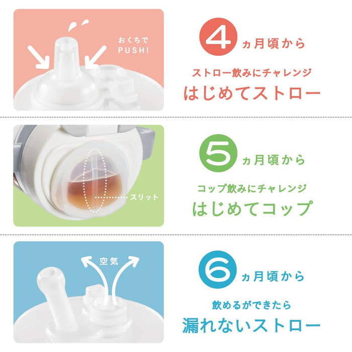 Pokemon Center Leakless Straw Mug 'Waku Waku Drink Set'- Japan Figure Store - #1 Bring To You The Best Japanese Goods