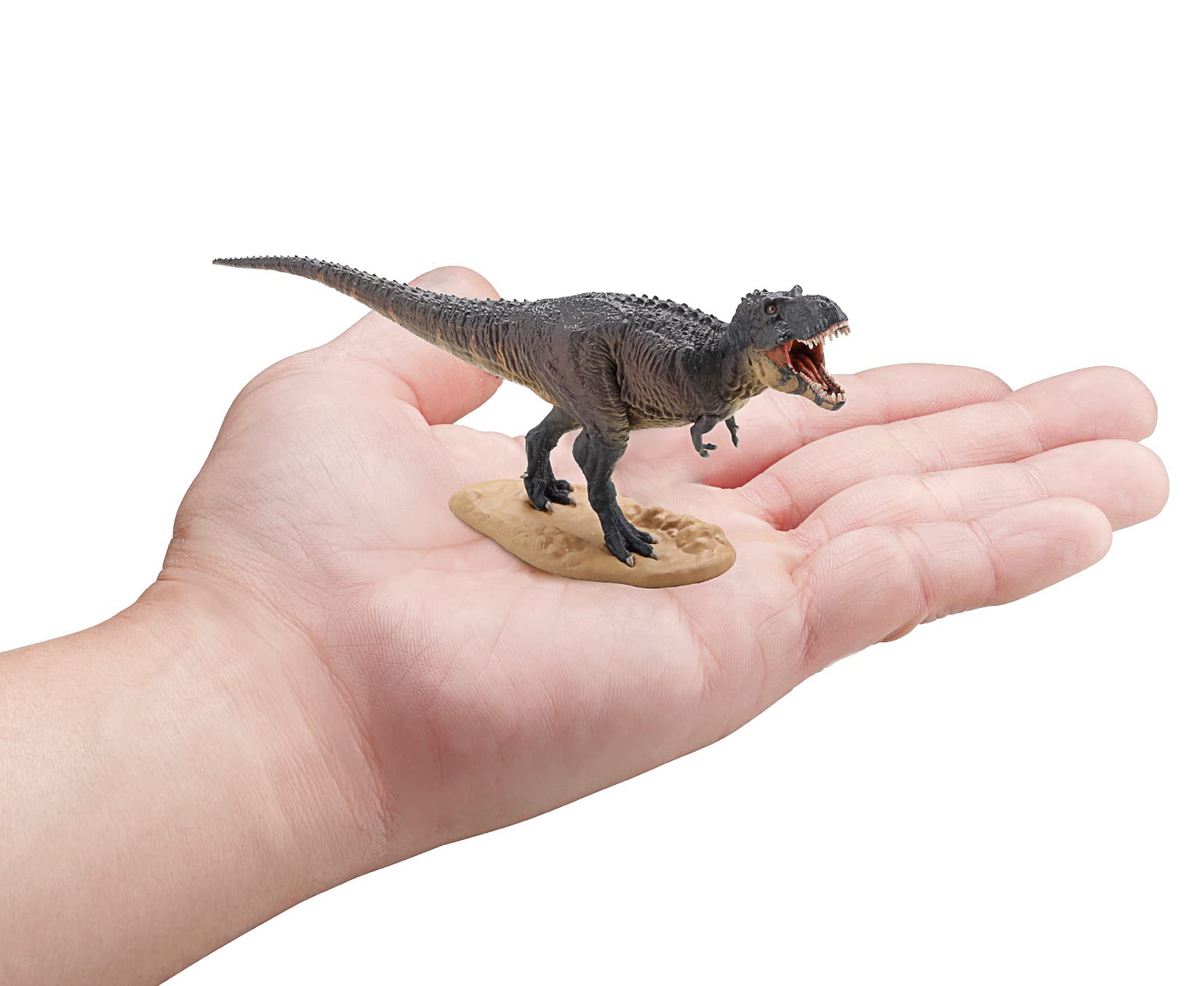 F-Toys Dinosaur Master Vol.3 10Pcs Box- Japan Figure Store - #1 Bring To You The Best Japanese Goods