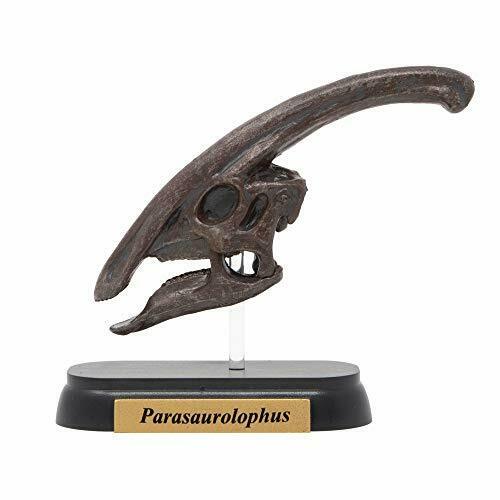 Dinosaur Parasaurolophus Skull Mini Model Fdw-504- Japan Figure Store - #1 Bring To You The Best Japanese Goods