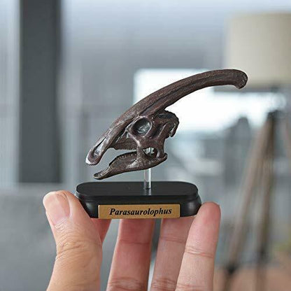 Dinosaur Parasaurolophus Skull Mini Model Fdw-504- Japan Figure Store - #1 Bring To You The Best Japanese Goods
