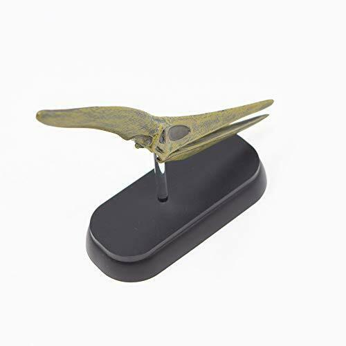 Dinosaur Pteranodon Skull Mini Model Fdw-509- Japan Figure Store - #1 Bring To You The Best Japanese Goods
