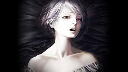 Dramatic Create The House In Fata Morgana: Dreams Of The Revenants Edition Nintendo Switch - New Japan Figure 4580302151533 2