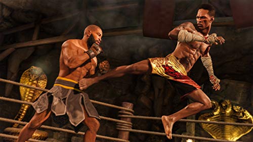 Electronic Arts Ea Sports Ufc 4 Playstation 4 Ps4 - New Japan Figure 4938833023476 1