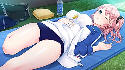 Entergram Amamane 2 For Sony Playstation 4 - New Japan Figure 4935066603871 2