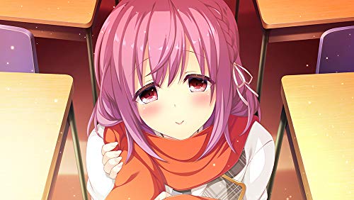 Entergram E School Life Nintendo Switch - New Japan Figure 4935066602898 3