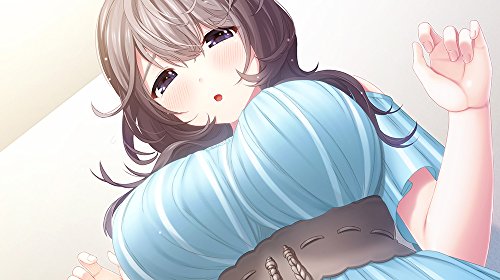 Entergram Mikagami Sumika No Seifuku Katsudou Sony Ps4 Playstation 4 Used