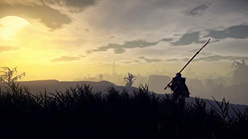 Exnoa Outward Playstation 4 Ps4 - New Japan Figure 4580544940391 3