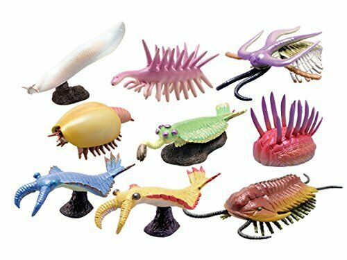 Favorite Cambrian Creatures Mini Model Burgess Series Dinosaur Figure 9set- Japan Figure Store - #1 Bring To You The Best Japanese Goods