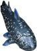 Favorite Coelacanth FF-301 Vinyl Model- Japan Figure Store - #1 Bring To You The Best Japanese Goods