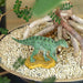 Favorite Fukuisaurus Mini Model Mini Dinosaur Figure Fdw-211- Japan Figure Store - #1 Bring To You The Best Japanese Goods
