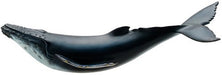 Favorite Humpback Whale FM902- Japan Figure Store - #1 Bring To You The Best Japanese Goods
