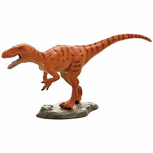 Favorite Kinto Fukui Dinosaur Series Mini Model Figure Designed By K.araki- Japan Figure Store - #1 Bring To You The Best Japanese Goods