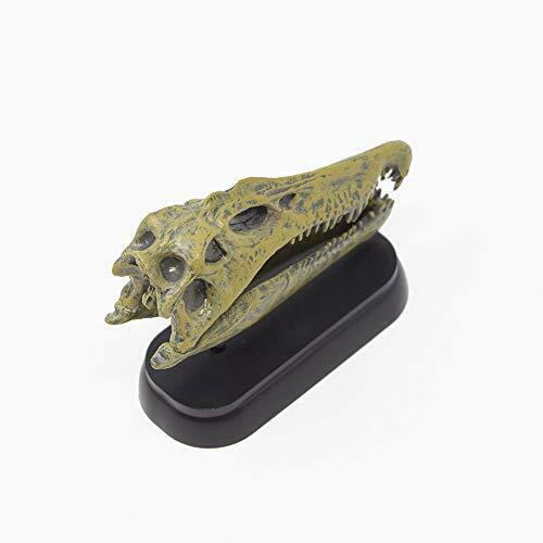 Favorite Spinosaurus Skull Dinosaur Mini Model Figure Designed By H.tokugawa- Japan Figure Store - #1 Bring To You The Best Japanese Goods