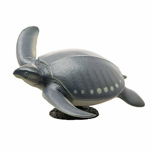Febaritto 77619 Archelon Software Model Fp-005 - Japan Figure