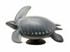 Febaritto 77619 Archelon Software Model Fp-005- Japan Figure Store - #1 Bring To You The Best Japanese Goods