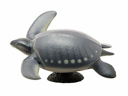 Febaritto 77619 Archelon Software Model Fp-005- Japan Figure Store - #1 Bring To You The Best Japanese Goods