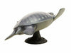 Febaritto 77619 Archelon Software Model Fp-005- Japan Figure Store - #1 Bring To You The Best Japanese Goods