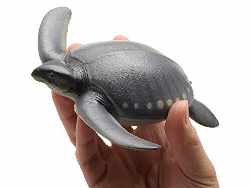 Febaritto 77619 Archelon Software Model Fp-005- Japan Figure Store - #1 Bring To You The Best Japanese Goods