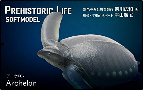 Febaritto 77619 Archelon Software Model Fp-005- Japan Figure Store - #1 Bring To You The Best Japanese Goods