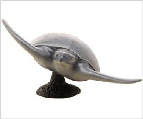 Febaritto 77619 Archelon Software Model Fp-005- Japan Figure Store - #1 Bring To You The Best Japanese Goods