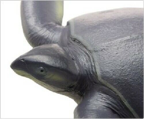 Febaritto 77619 Archelon Software Model Fp-005- Japan Figure Store - #1 Bring To You The Best Japanese Goods