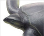 Febaritto 77619 Archelon Software Model Fp-005- Japan Figure Store - #1 Bring To You The Best Japanese Goods