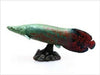 Febaritto Arapaima Software Model Ff002- Japan Figure Store - #1 Bring To You The Best Japanese Goods