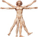 Figma Table Museum Vitruvian Human Figure Non-Scale Abs Pvc Painted Movable Figure Secondary Resale- Japan Figure Store - #1 Bring To You The Best Japanese Goods